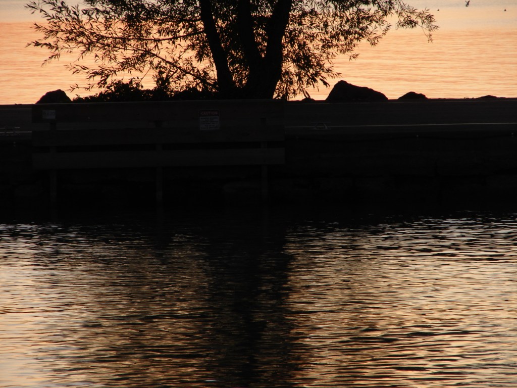 DSC00031.ReflectionJPG