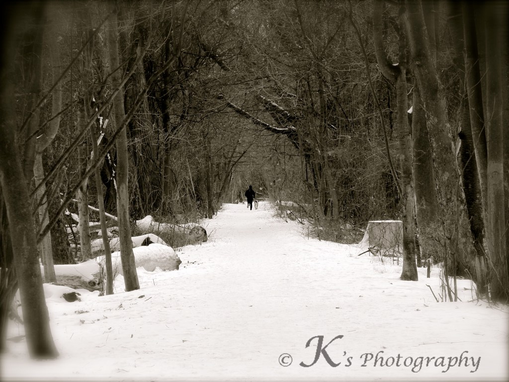 January Frost 2011 b&W 059