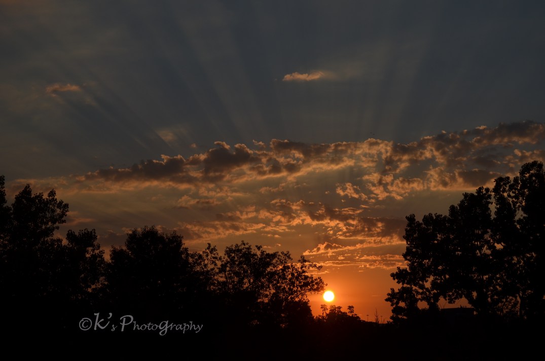 I will glory In The Cross! 