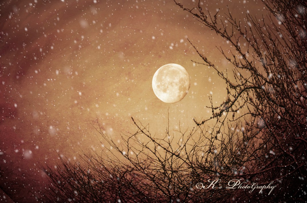 _CSC0025 snowdrop light snow