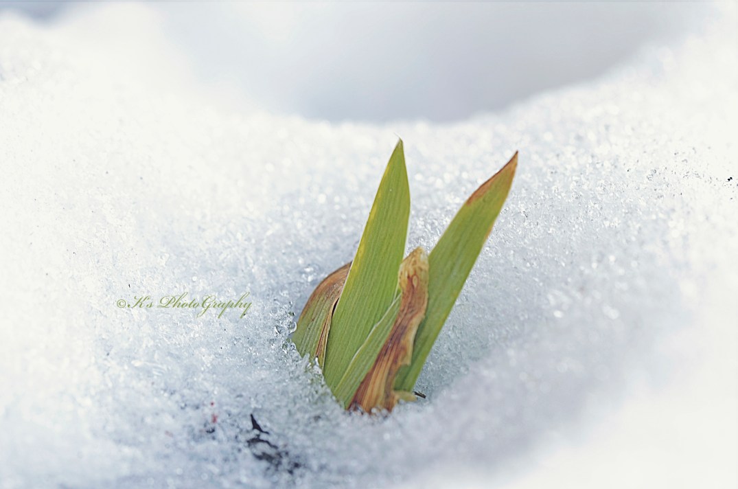 Little Thoughts For Big Days