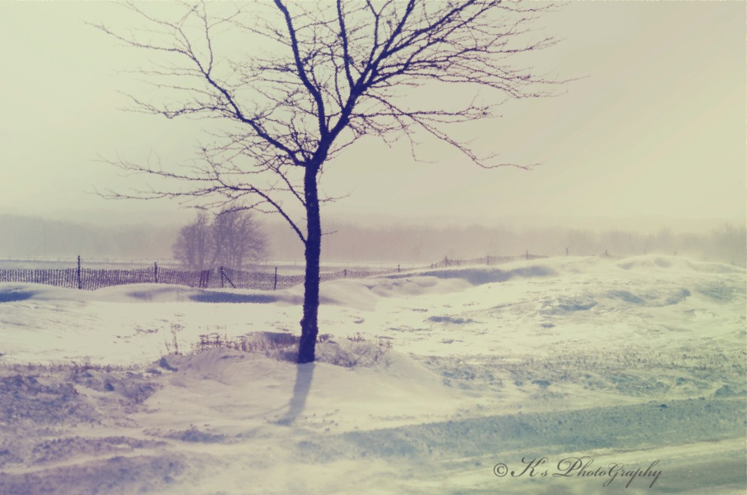 Little Thoughts For Big Days