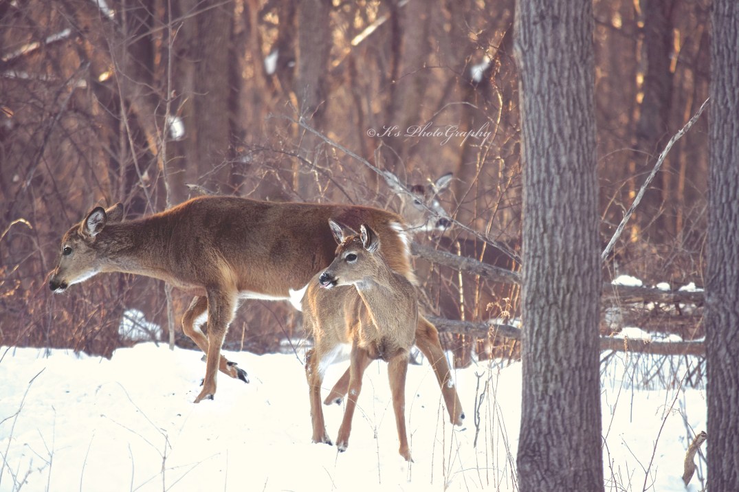 Walk on ~ Don't give up!