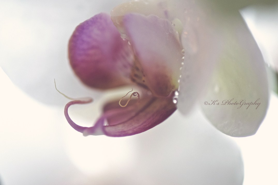 Little Thoughts For Big Days