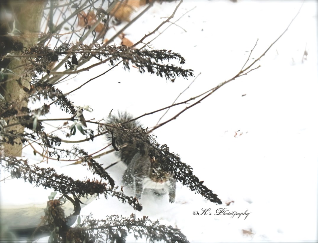 Little Thoughts For Big Days