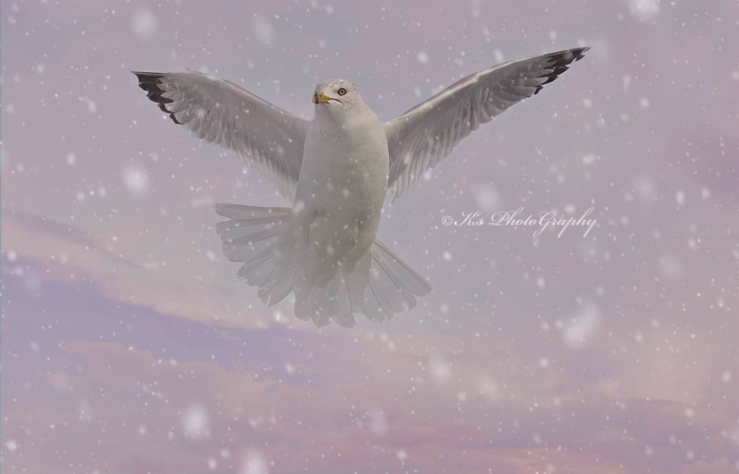 Little Thoughts For Big Days