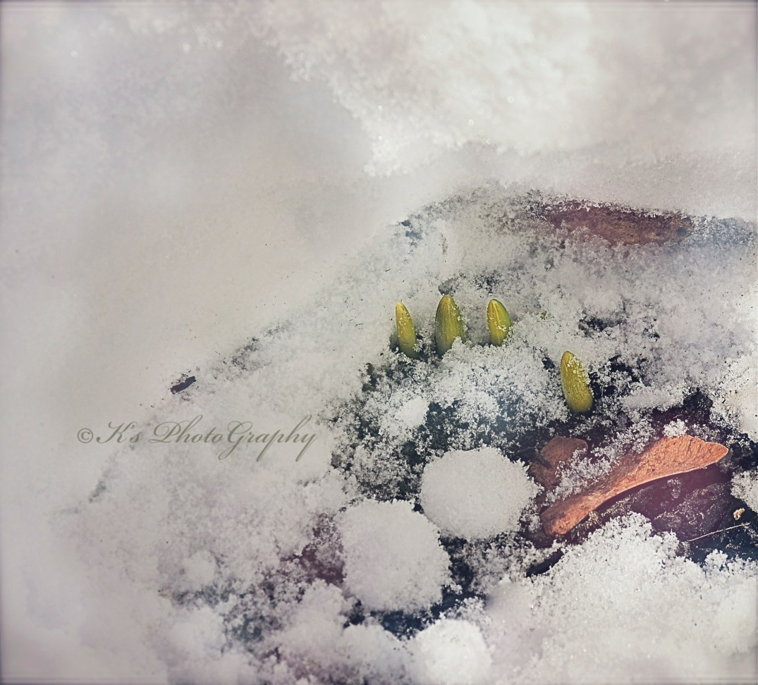 Little Thoughts For Big Days