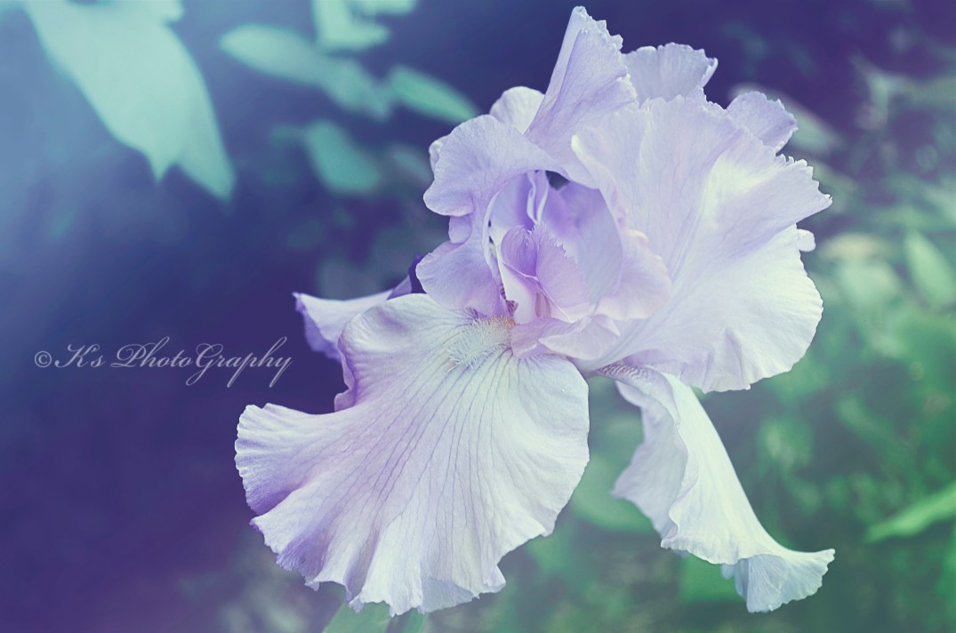 Little Thoughts For Big Days