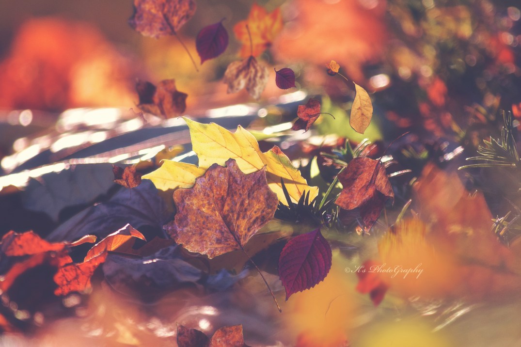 Little Thoughts For Big Days