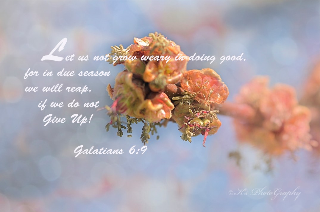 Little Thoughts For Big Days