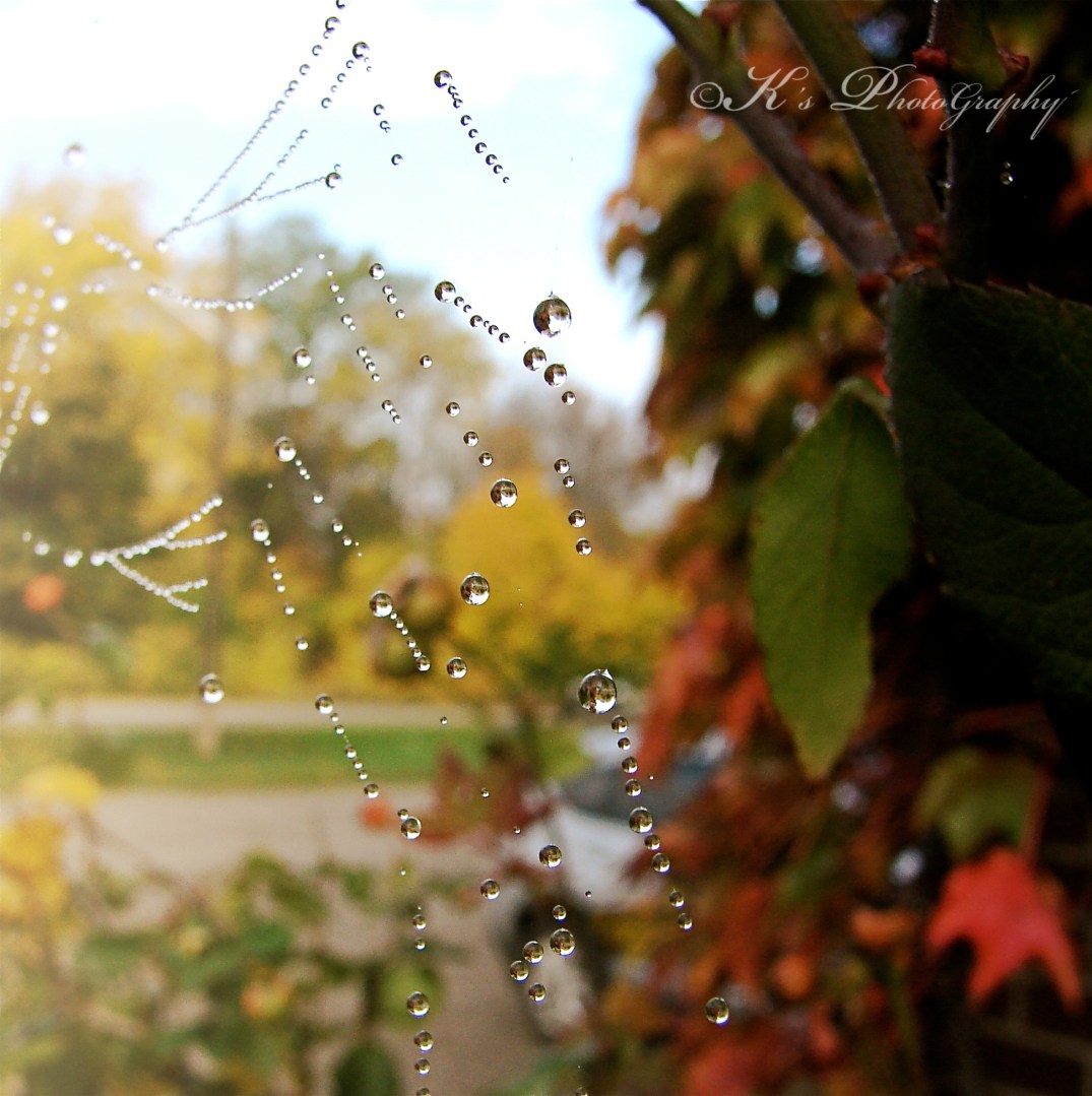 Little Thoughts For Big Days