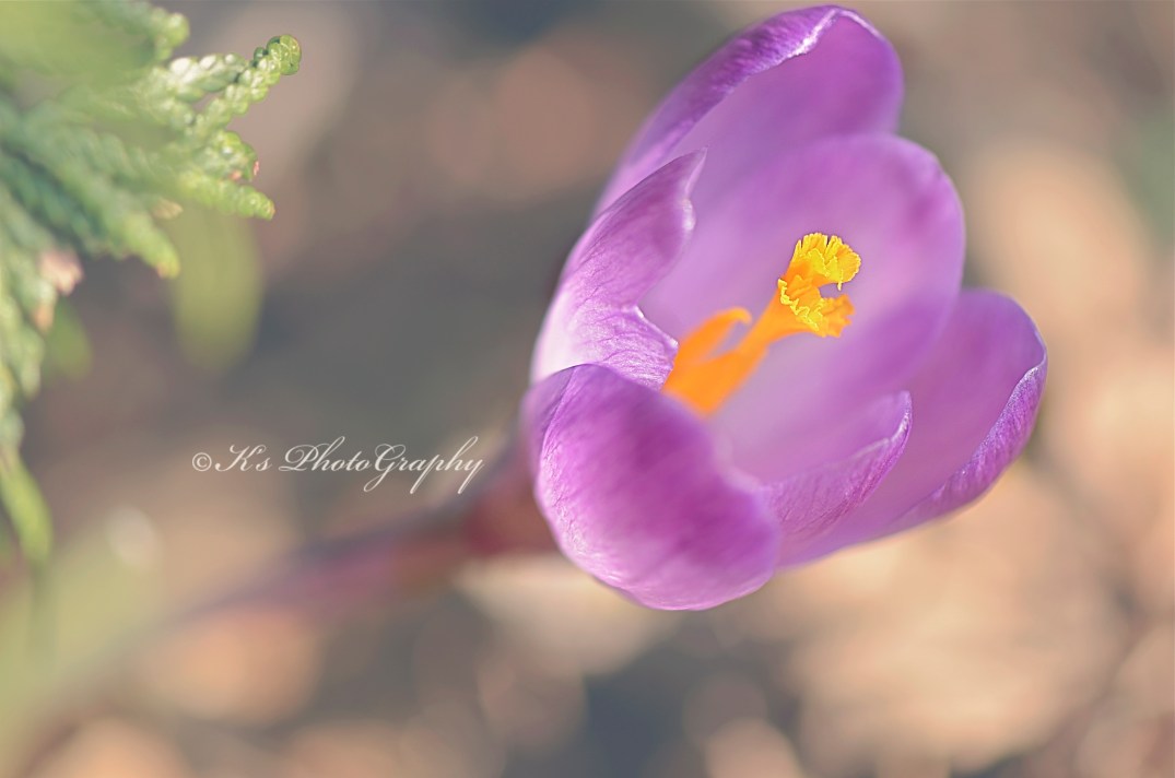 Little Thoughts For Big Days