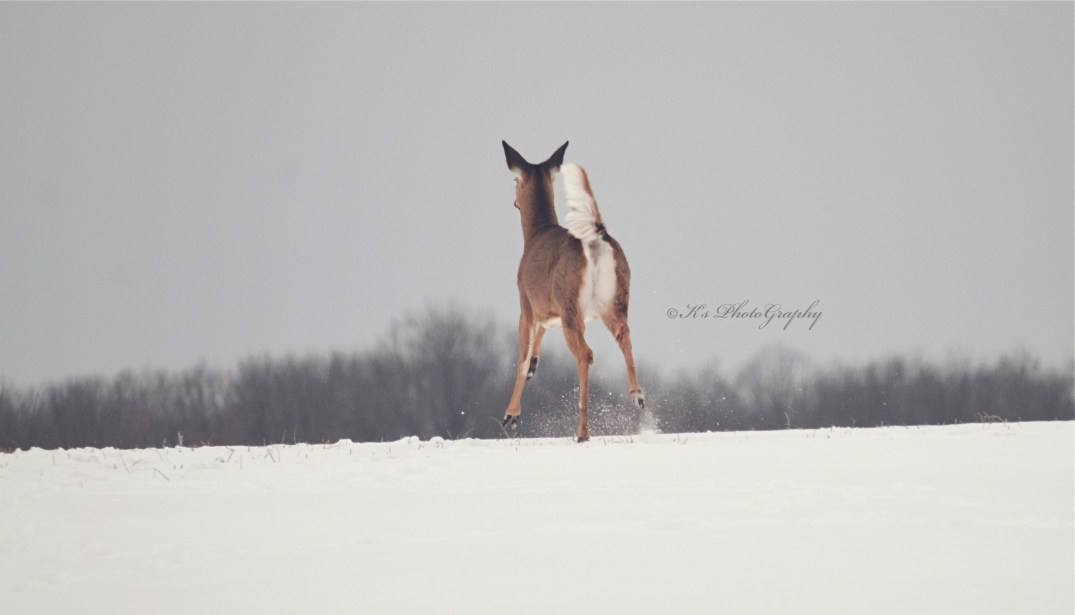 Little Thoughts For Big Days 