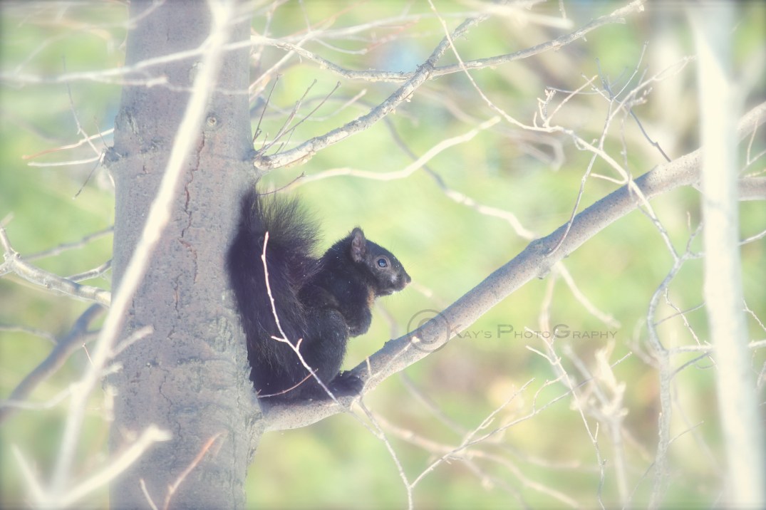 Little Thoughts For Big Days