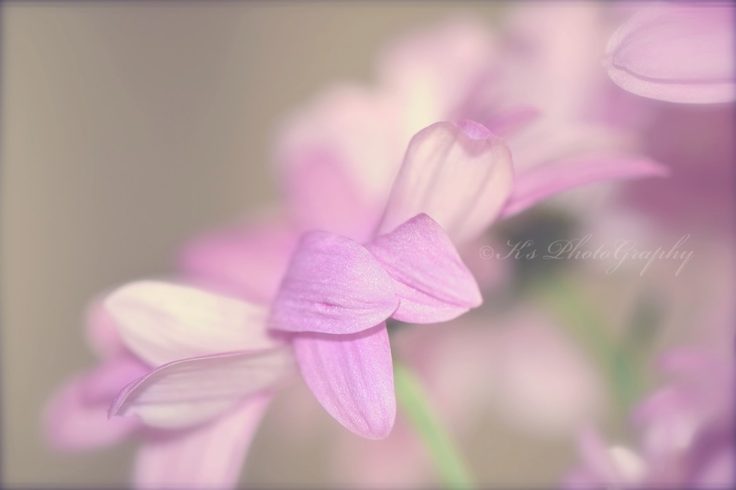 Little Thoughts For Big Days