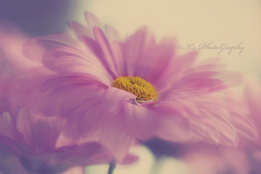 Little Thoughts For Big Days