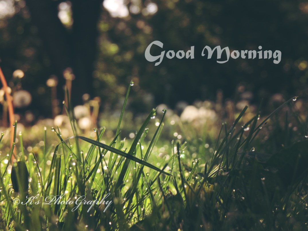 Little Thoughts For Big Days