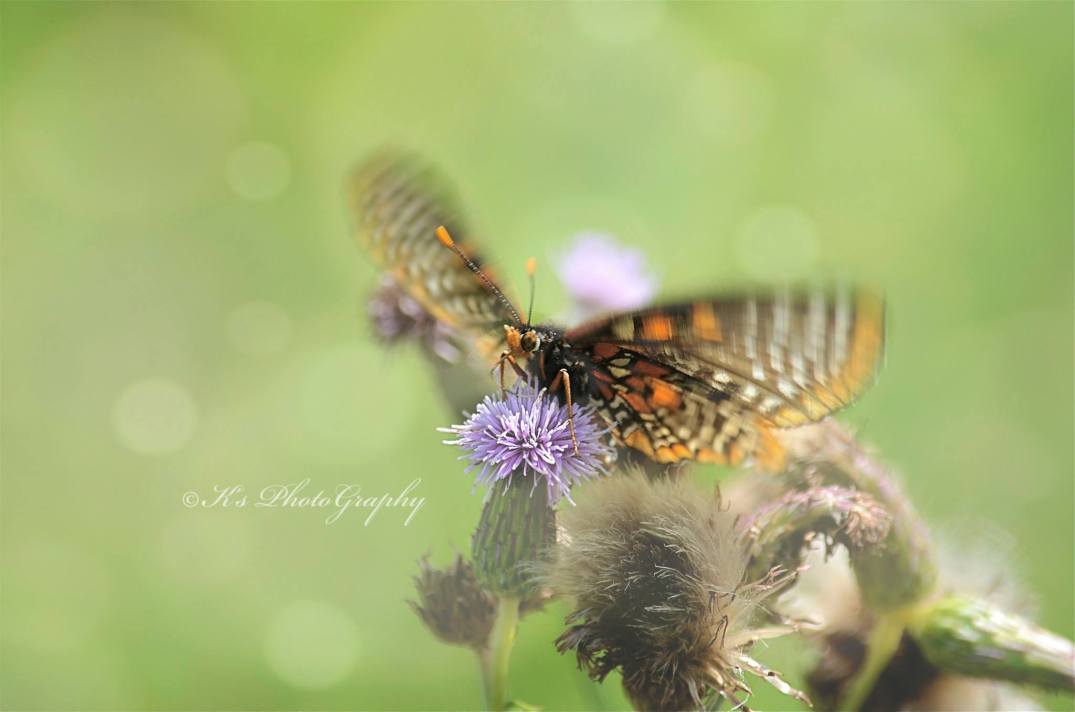 Little Thoughts For Big Days