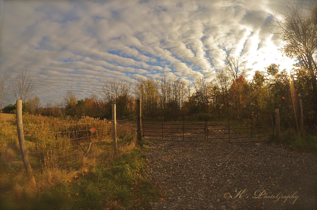 Little Thoughts For Big Days