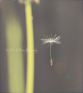 Stepping Out Of The Past Leads To New Things And New Growth And New Beginnings! <3