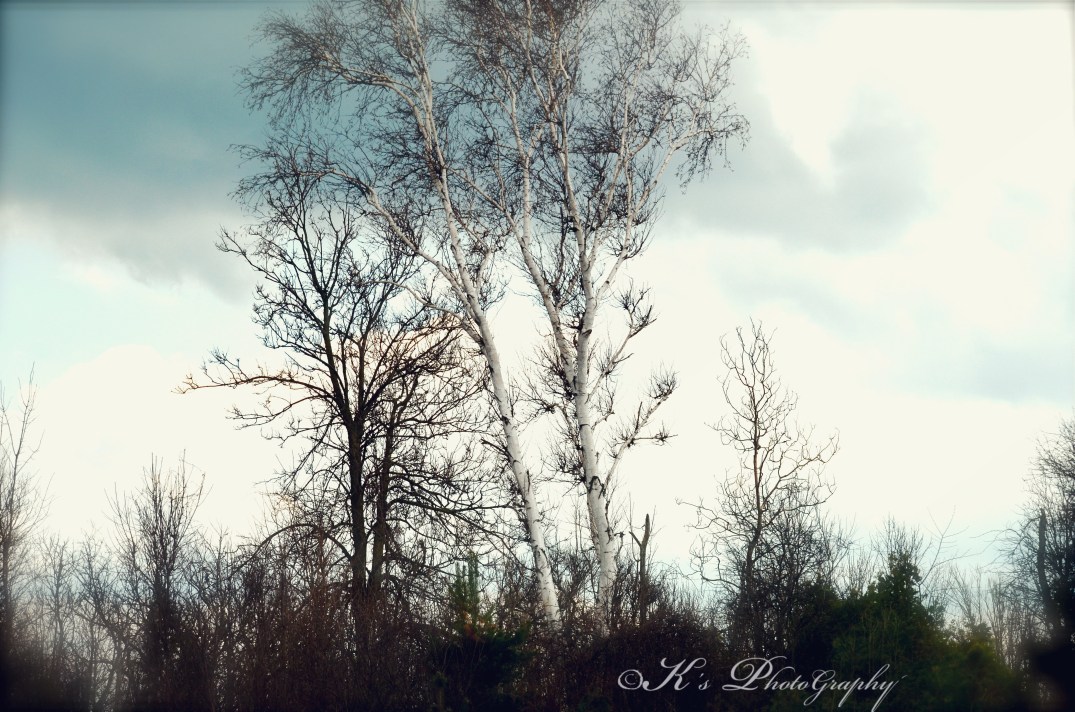 Little Thoughts For Big Days