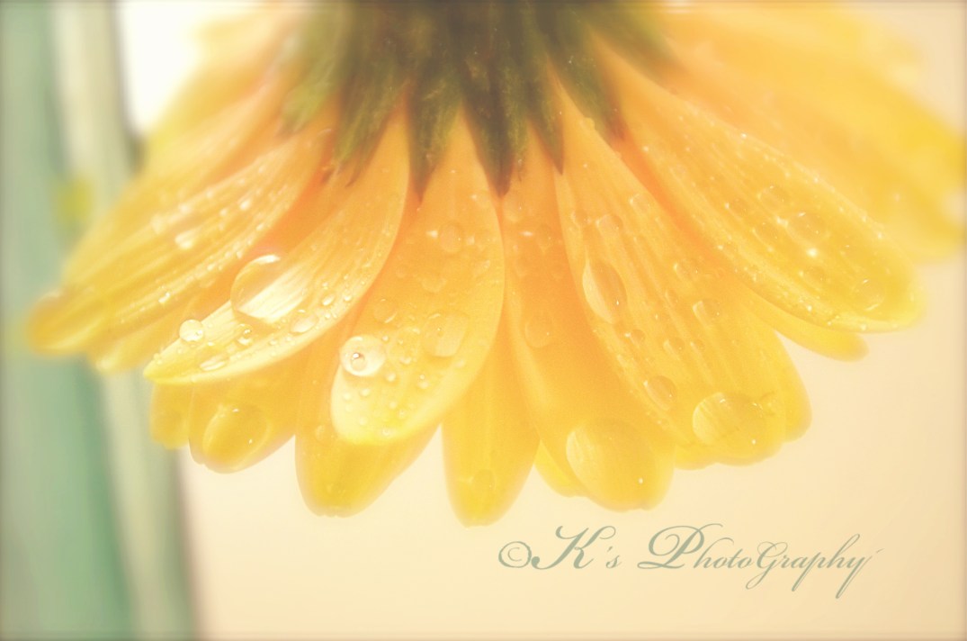 Little Thoughts For Big Days