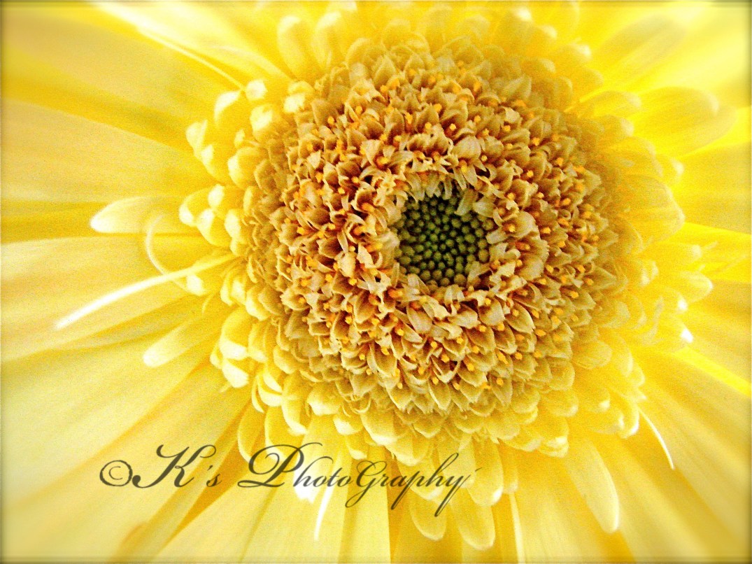 Little Thoughts For Big Days