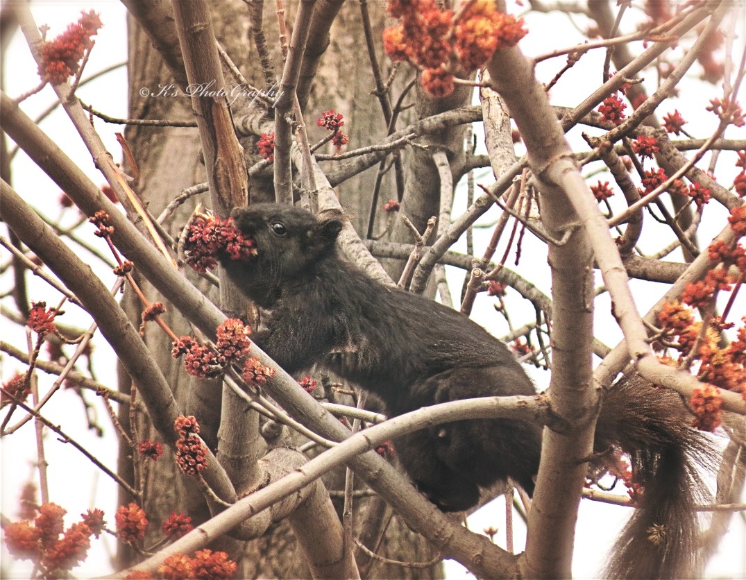 Little Thoughts For Big Days