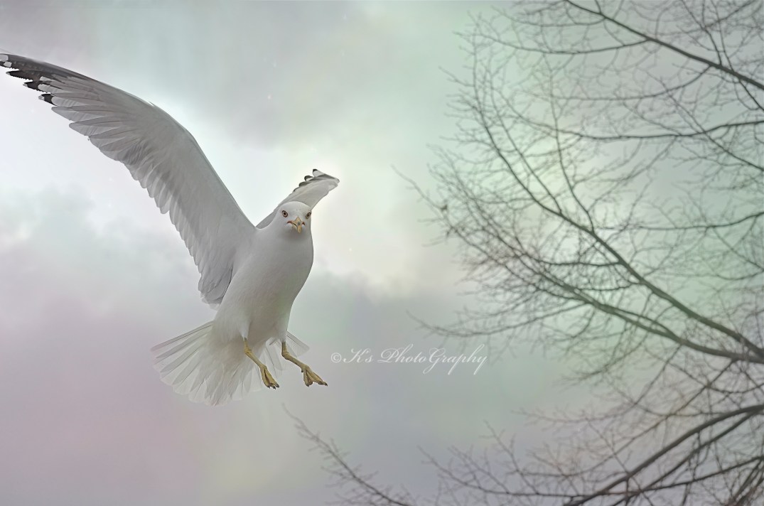 Little Thoughts For Big Days