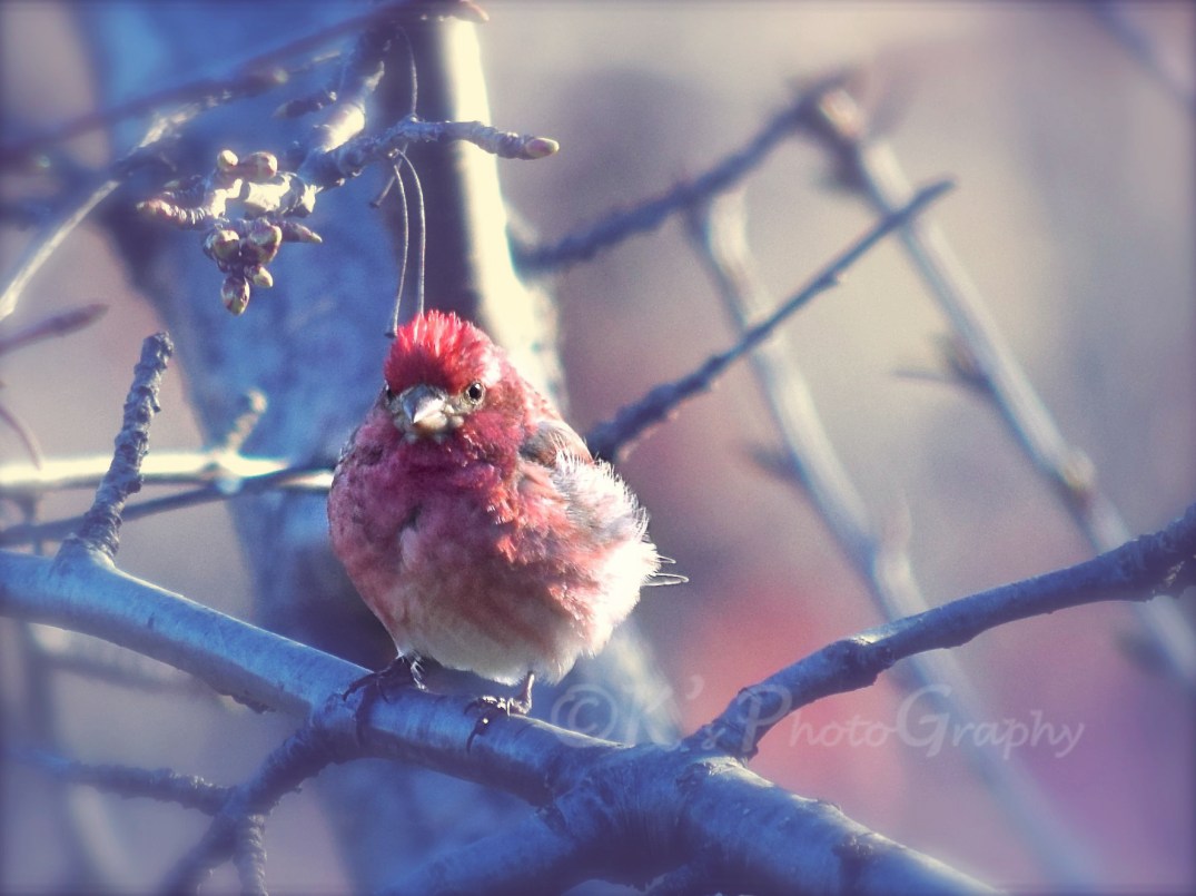 Little Thoughts For Big Days