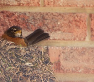 Just Wait When You Can Do Nothing Else 