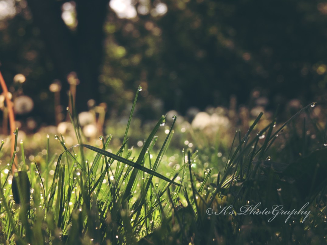 Little Thoughts For big Days