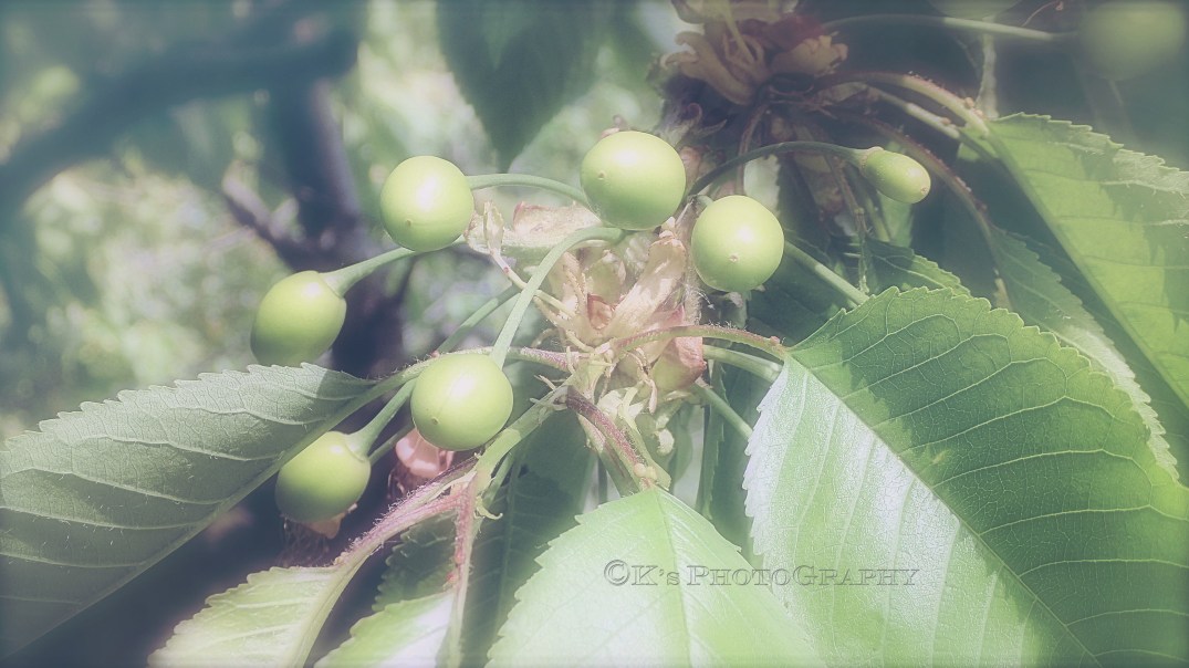 Little Thoughts For Big Days