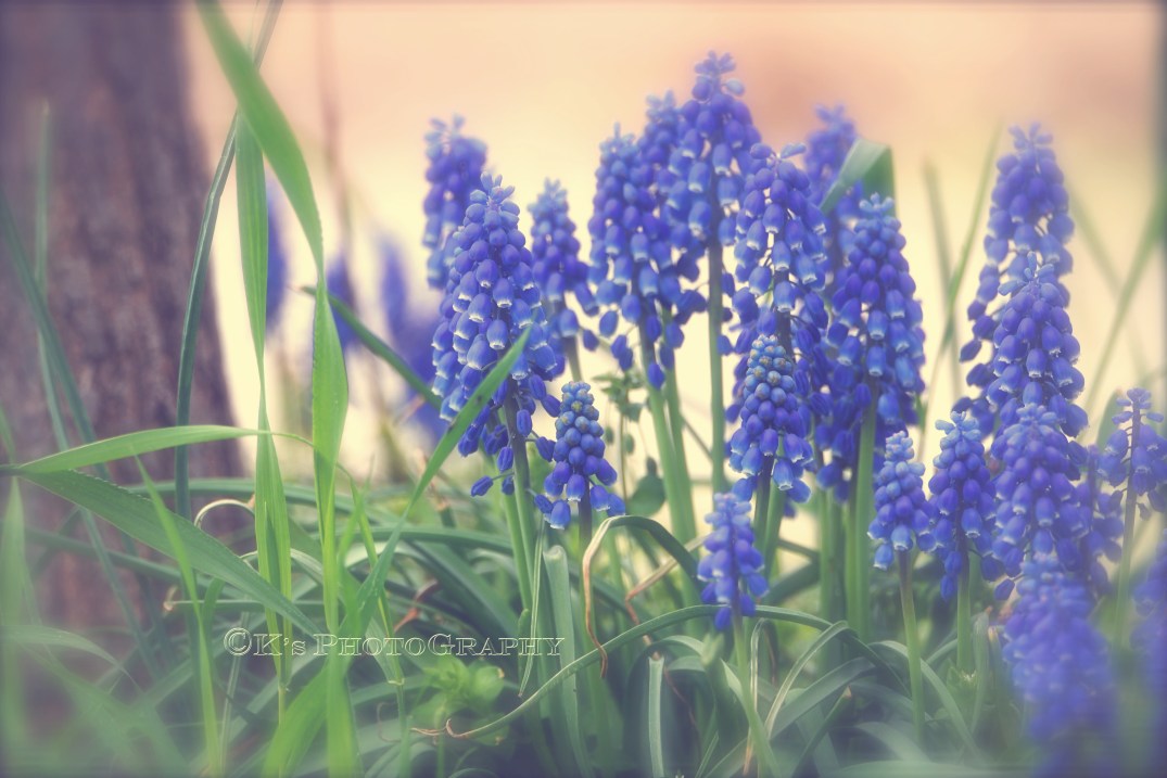 Little Thoughts For Big Days