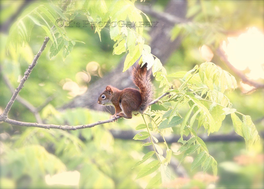 Little Thoughts For Big Days