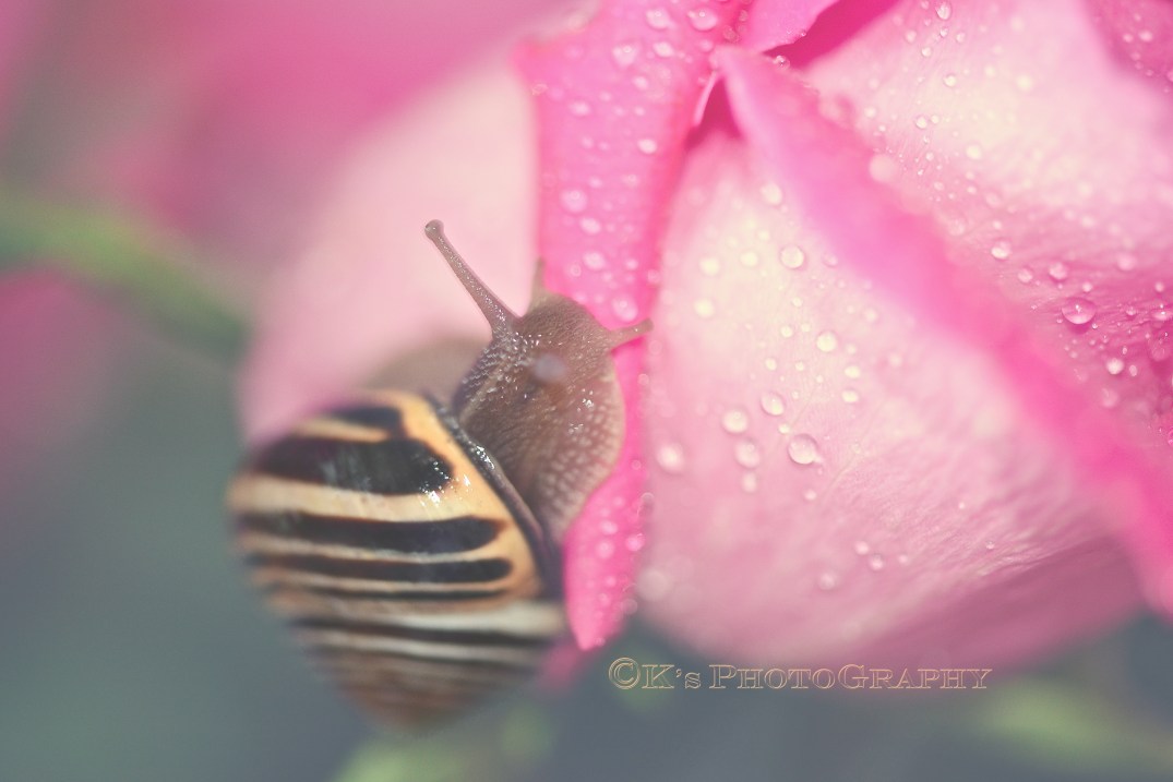 Little Thoughts For Big Days