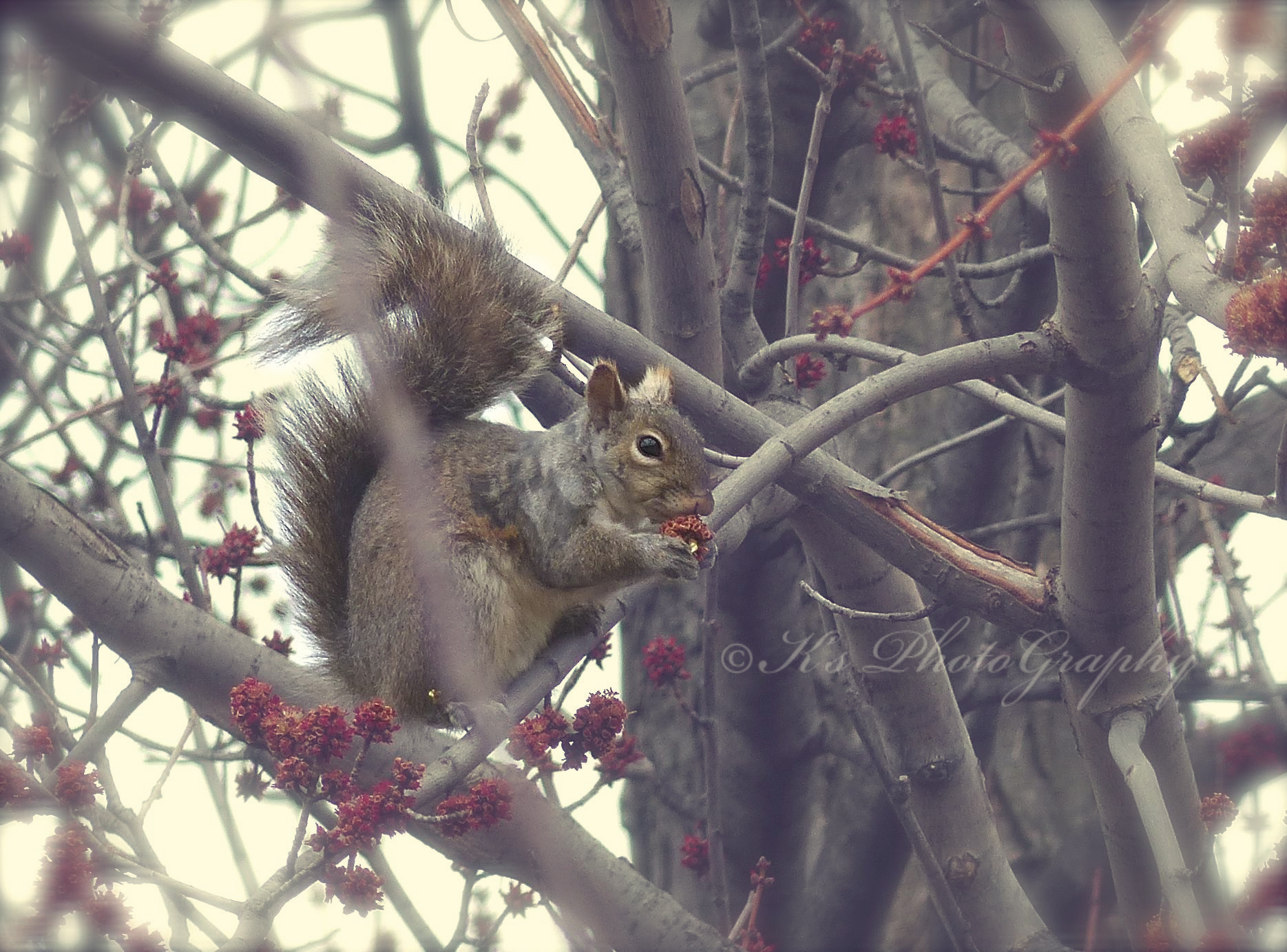 Little Thoughts For Big Days