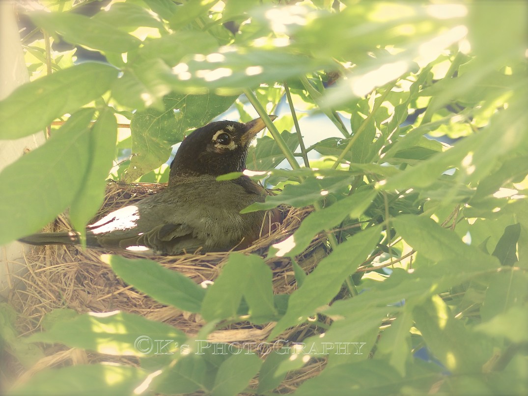 God's Grace Will Find You, wherever you are. 