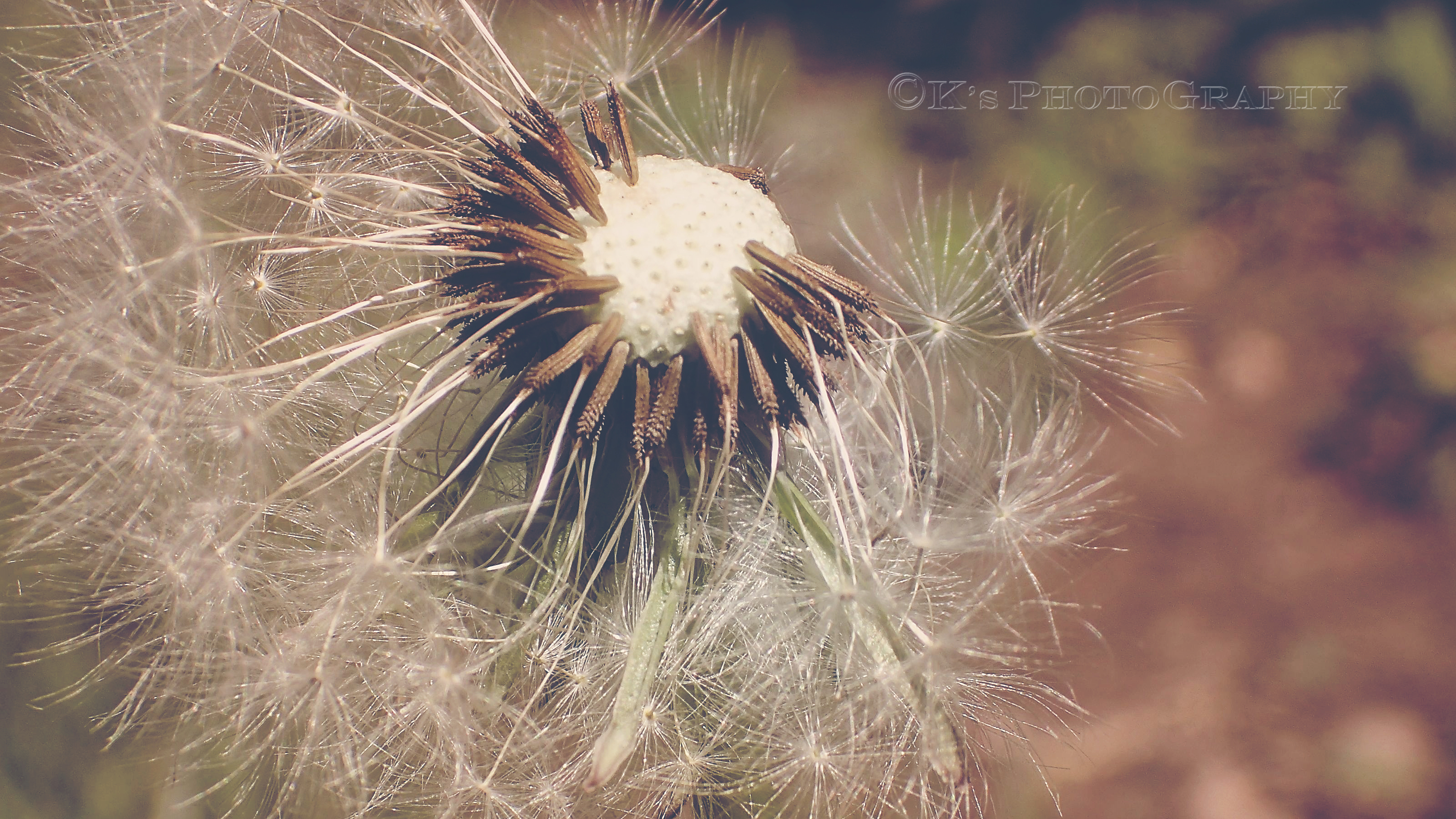 Little Thoughts For Big Days