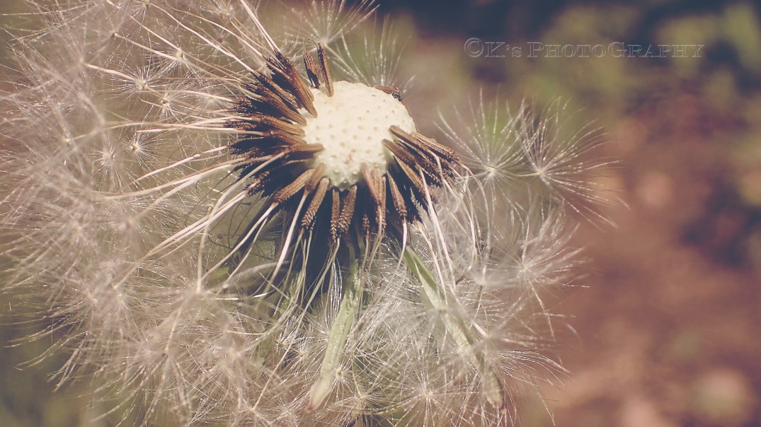 Little Thoughts For Big Days