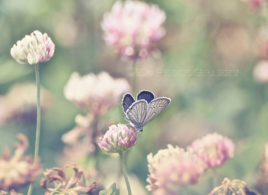 Little Thoughts For Big Days