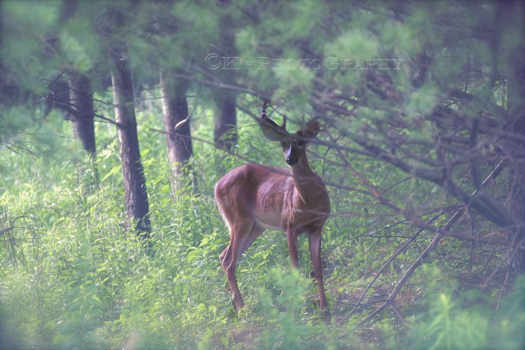 Little Thoughts For Big Days