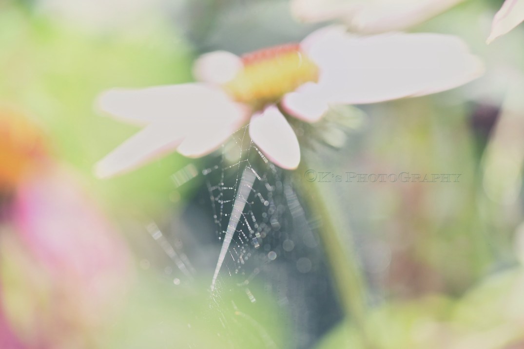 Little Thoughts For Big Days