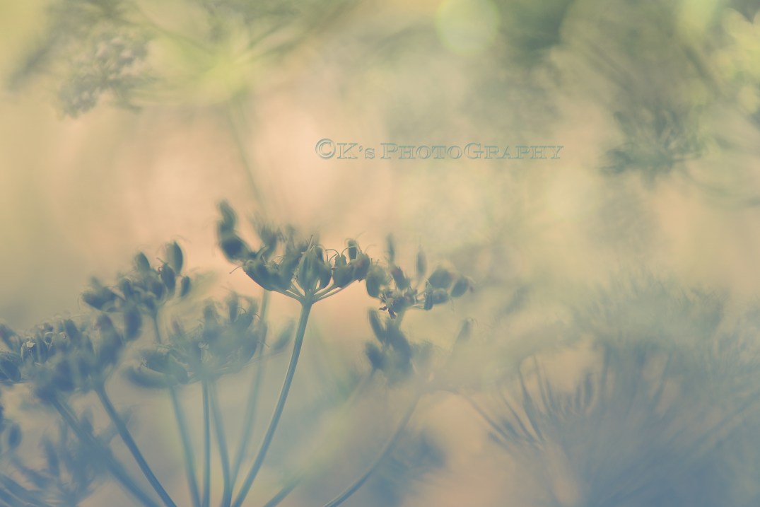 Isaiah 42: 16  And I will lead the blind in a way that they do not know, in paths that they have not known I will guide them. I will turn the darkness before them into light, the rough places into level ground. These are the things I do, and I do not forsake them. 