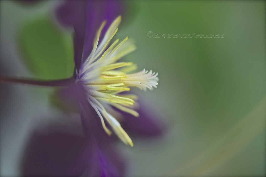 Little Thoughts For Big Days