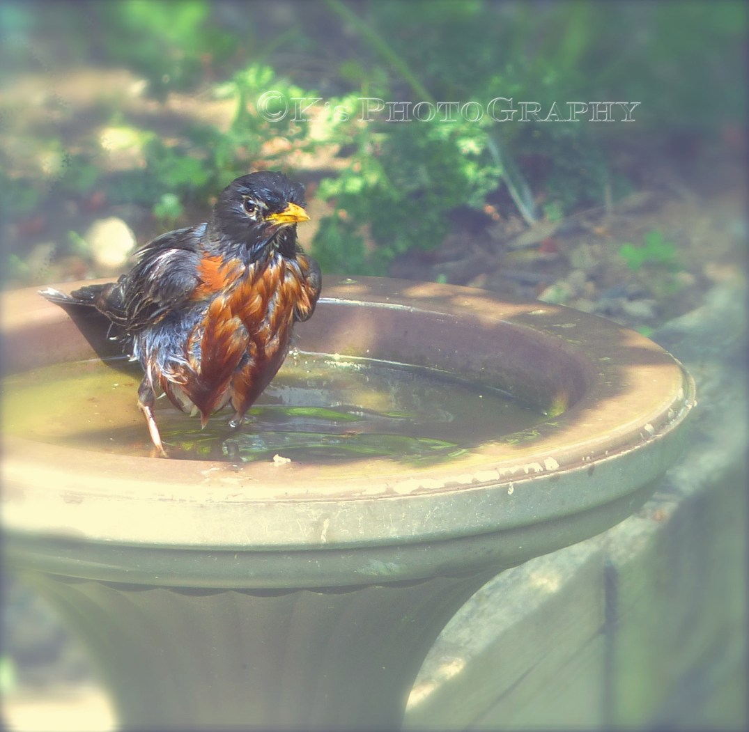 Little Thoughts For Big Days