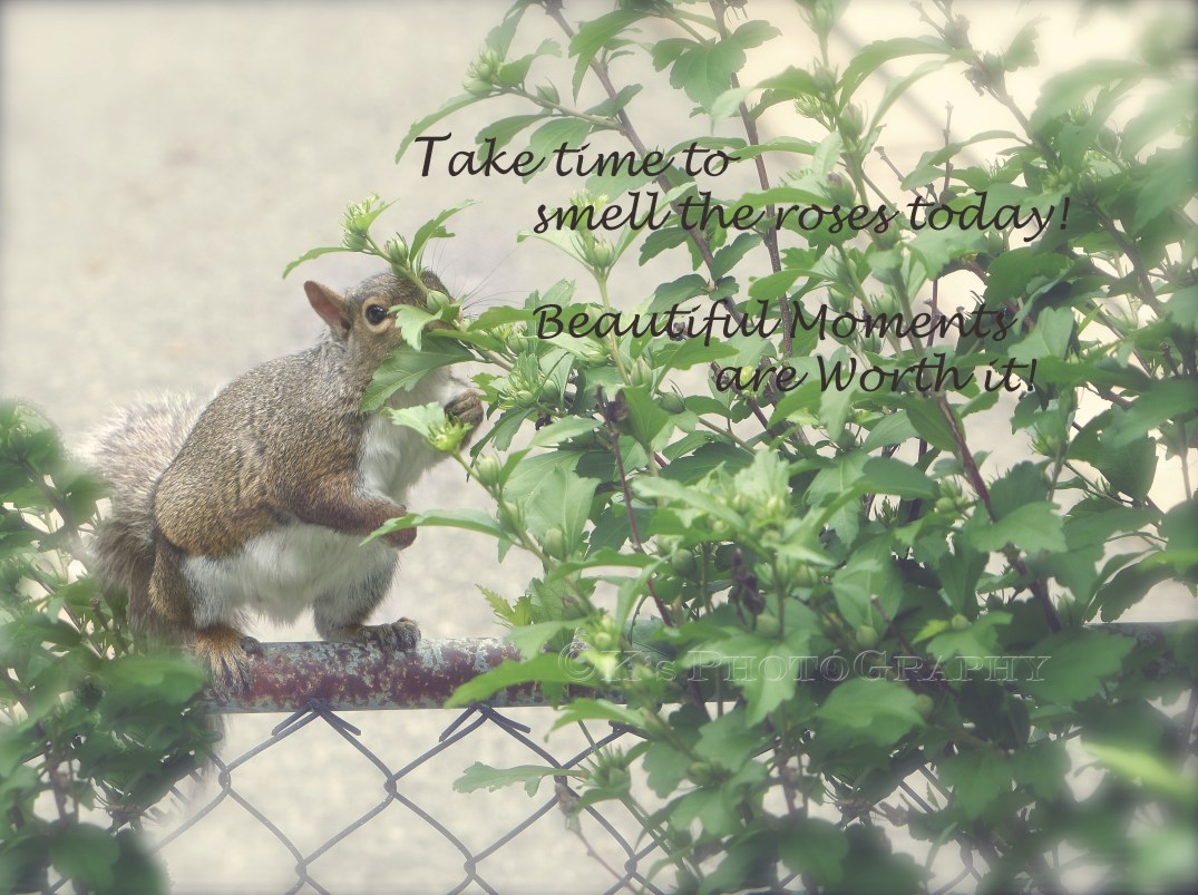 Find Peaceful moments today and enjoy every single one <3