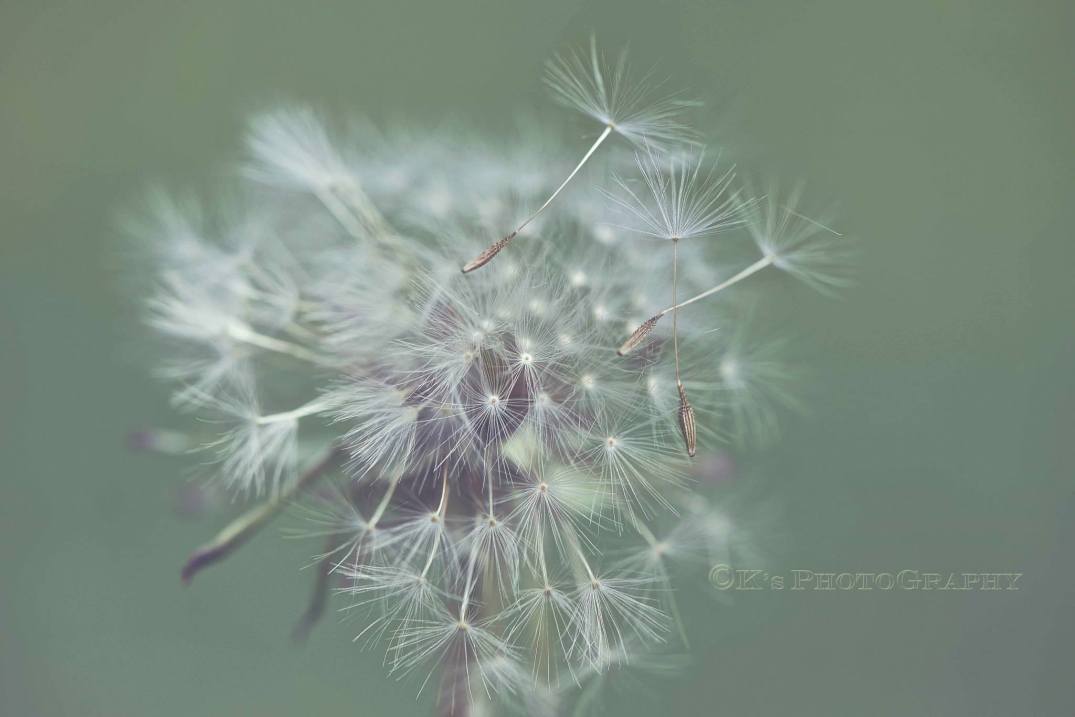 Little Thoughts For Big Days