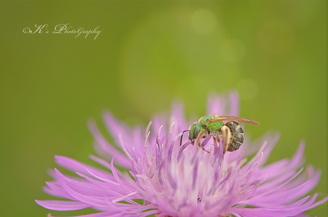 Little Thoughts For Big Days