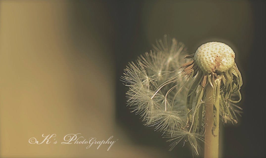 Little Thoughts For Big Days